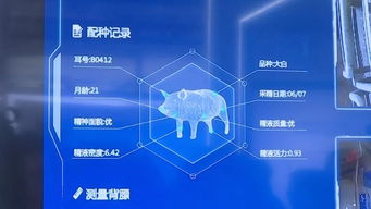 記者帶你逛數(shù)博 科技盛宴上演 名企新品爭(zhēng)奇斗艷