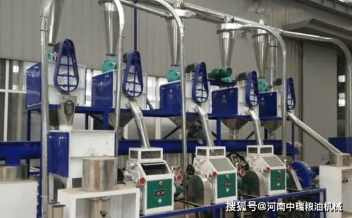 高效生產(chǎn)，靈活加工 小中大型玉米面加工設備與柔性材料加工設備的技術(shù)與應用解析