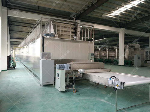 柔性材料加工設備 使用粉絲加工設備生產(chǎn)，這些關鍵問題不容忽視